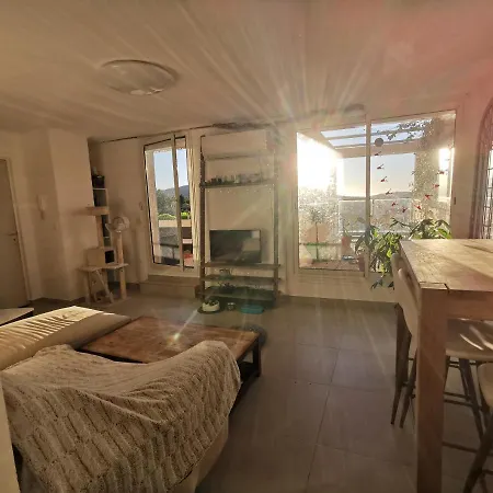 Terrasse 100M2 Vue Mer Clim Garage * Nice